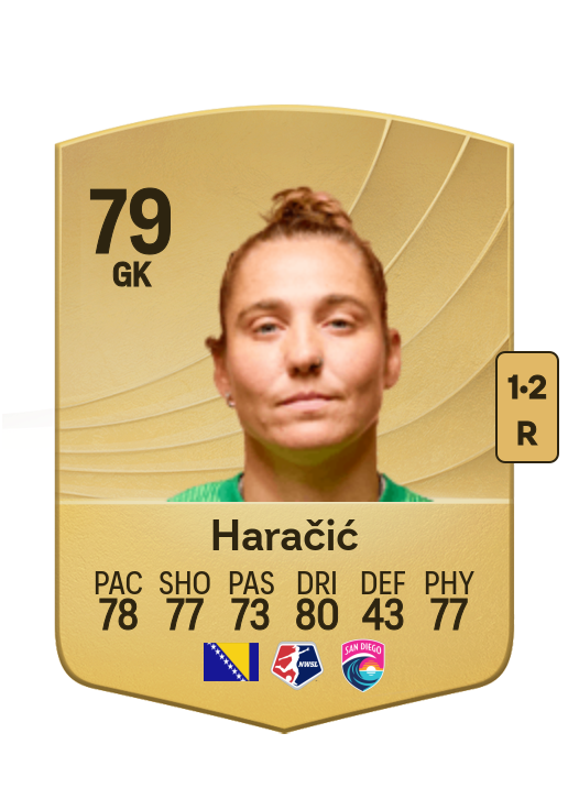 Didi Haračić card