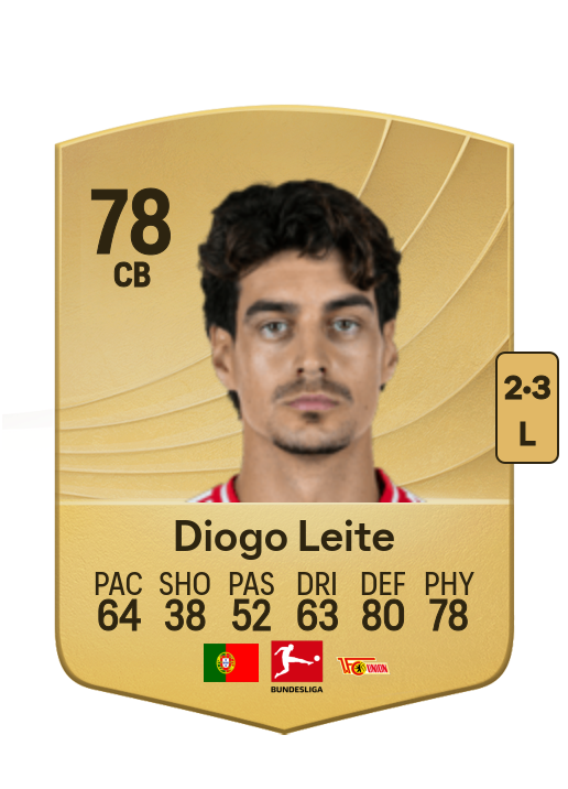 Diogo Filipe Pinto Leite card