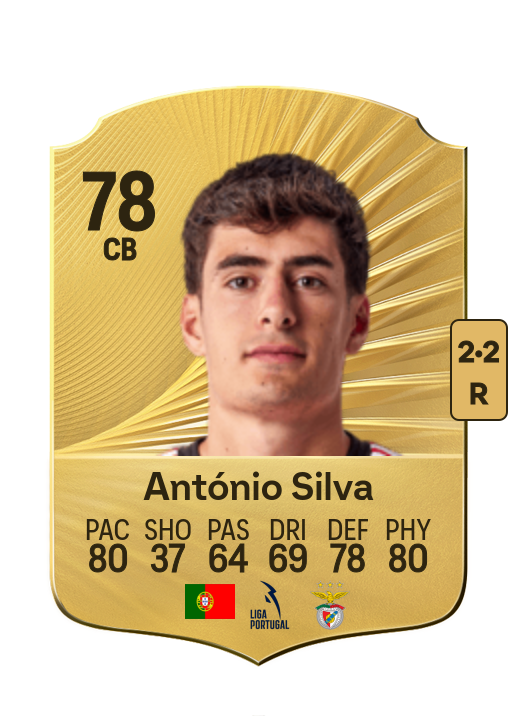 António João Tavares Silva card