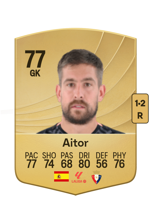 Aitor Fernández card