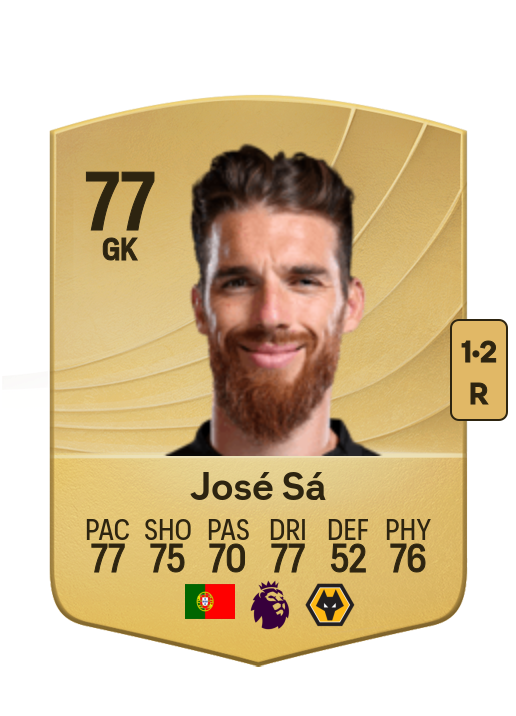 José Pedro Malheiro de Sá card