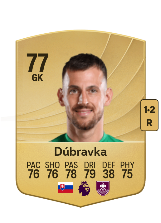 Martin Dúbravka card