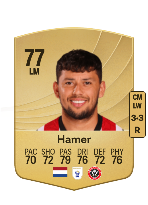 Gustavo Hamer card