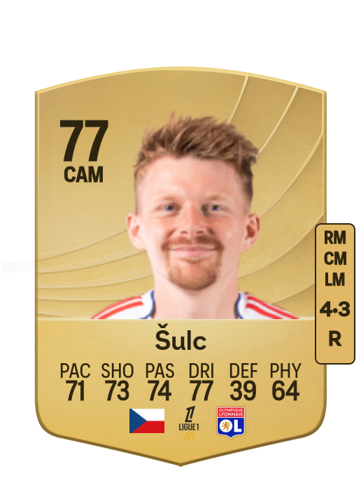 Pavel Šulc card
