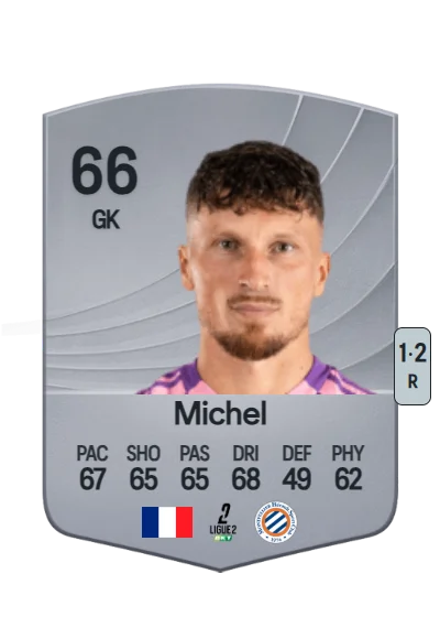 Mathieu Michel card