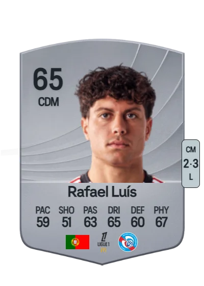 Rafael Filipe G. Soares Luís card