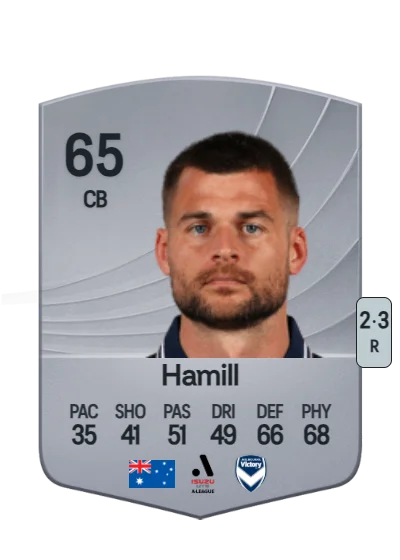 Brendan Hamill card