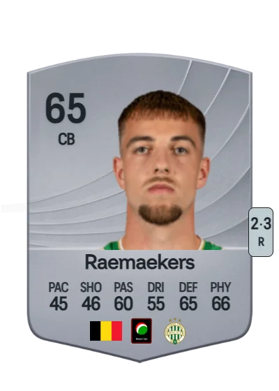 Toon Raemaekers card
