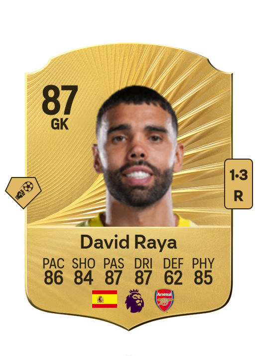 David Raya Martin card