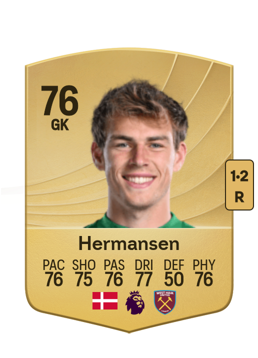 Mads Hermansen card