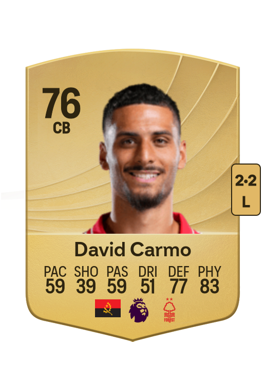 David Mota Teixeira Carmo card