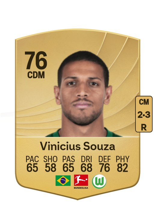 Vinicius de Souza Costa card