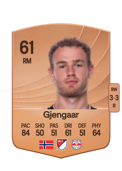 Dennis Gjengaar card
