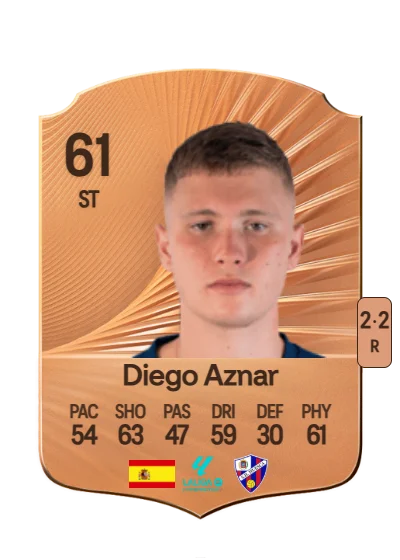Diego Aznar Valero card