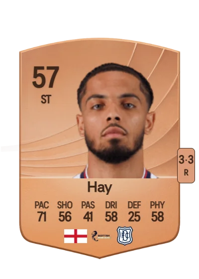 Ashley Hay card