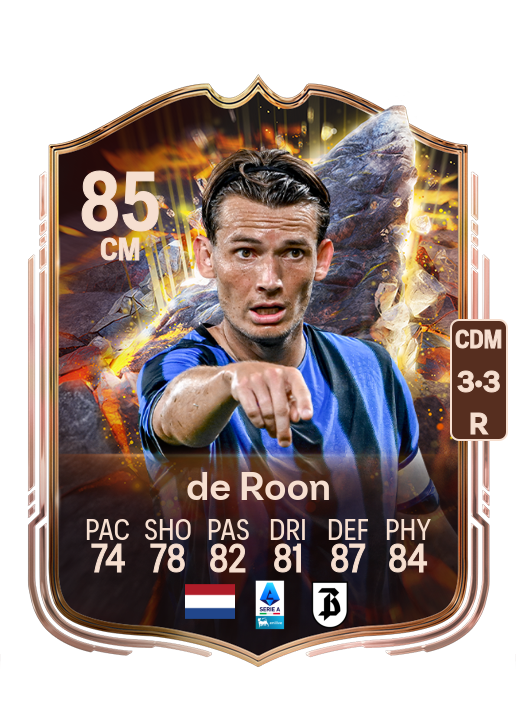 Marten de Roon card