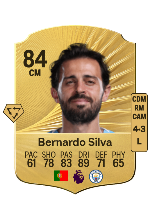 Bernardo Mota Carvalho e Silva card