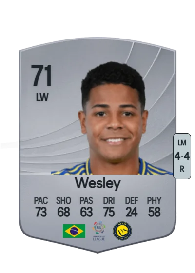 Wesley Gassova Ribeiro Teixeira card