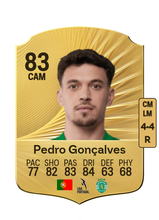 Pedro António Pereira Gonçalves card