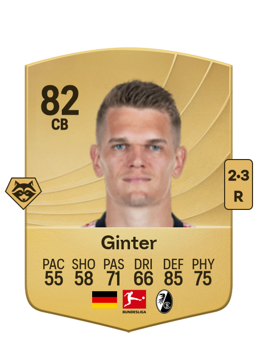 Matthias Ginter card