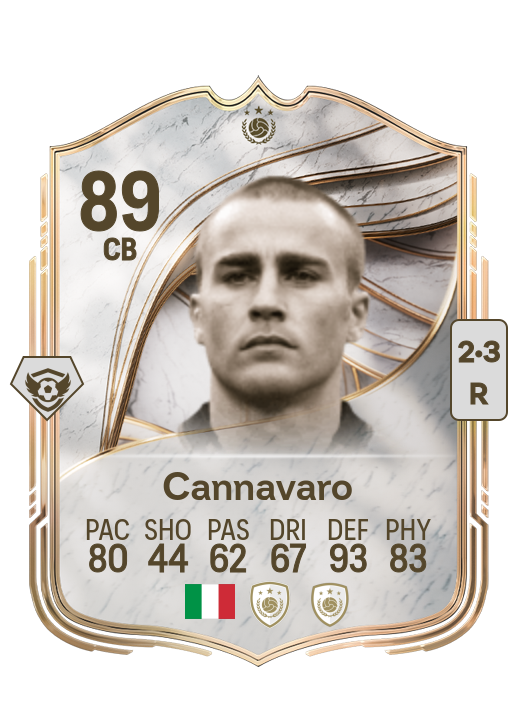 Fabio Cannavaro card