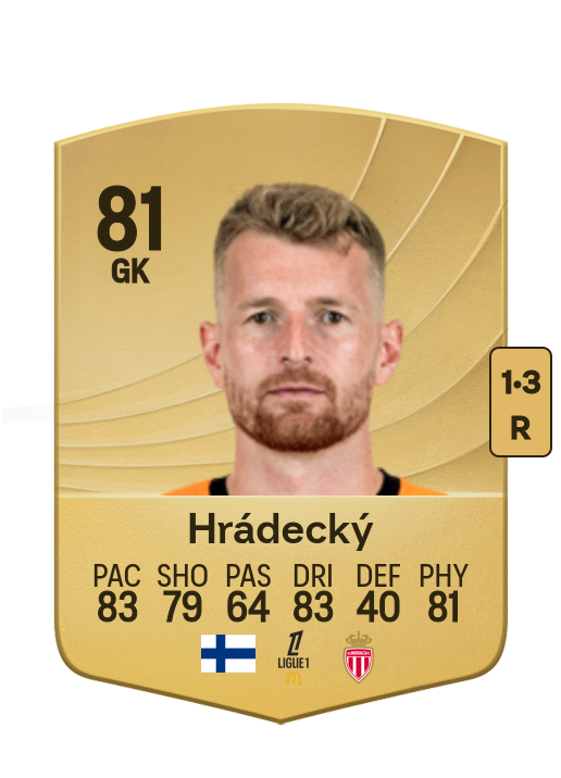 Lukáš Hrádecký card