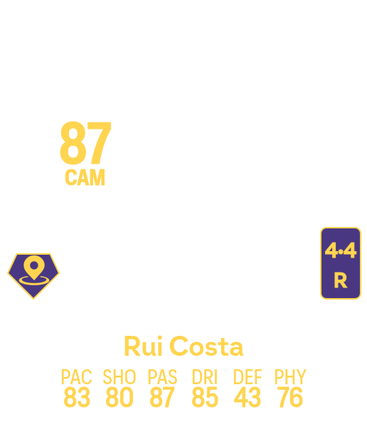 Rui Costa
