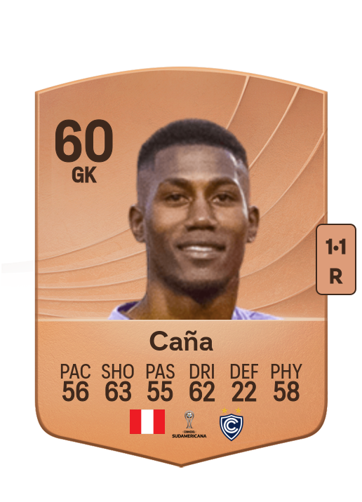 Caña