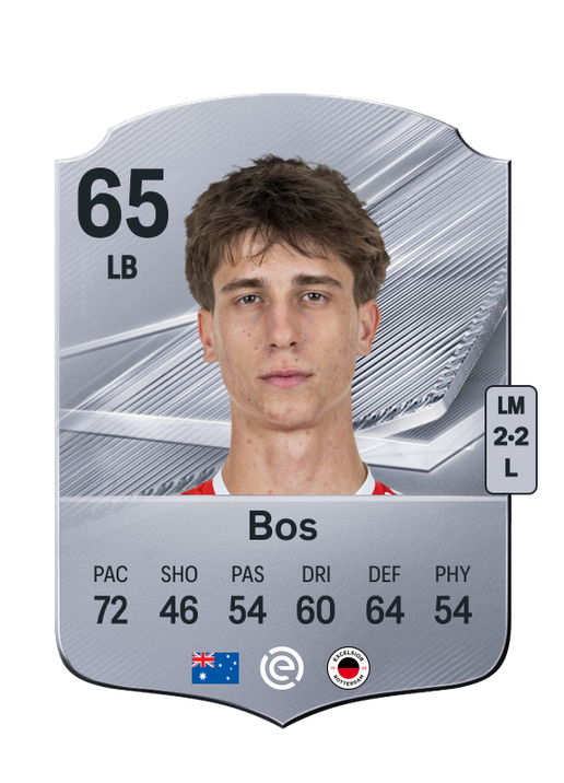 Bos