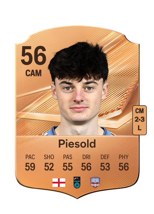 Piesold