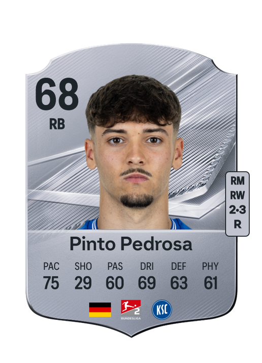 Pinto Pedrosa