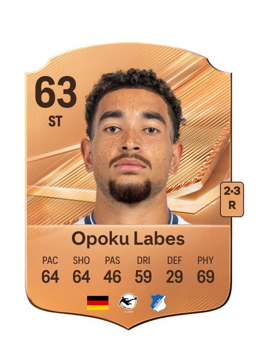 Opoku Labes