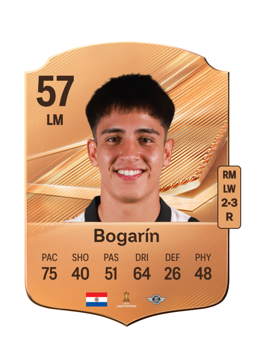 Bogarín