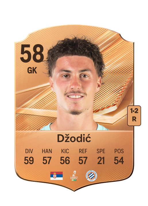 Džodić