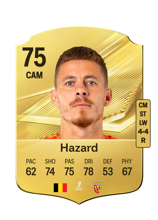 Hazard
