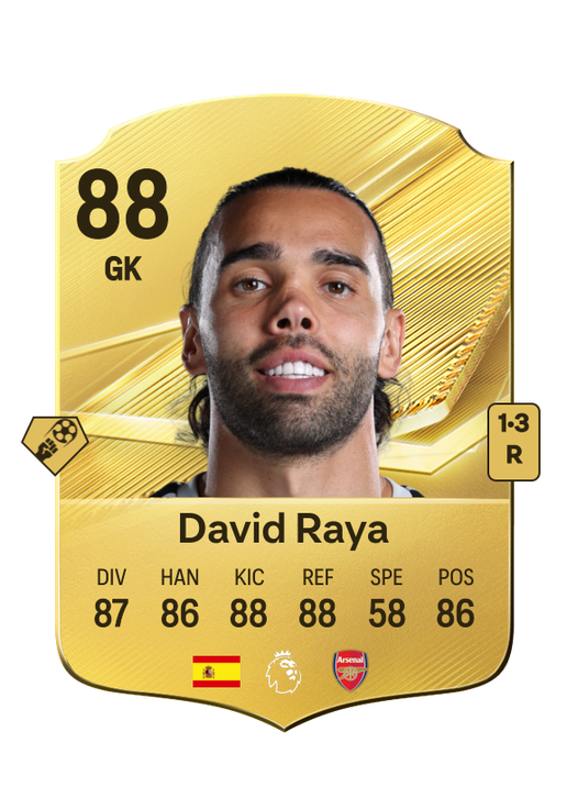 David Raya
