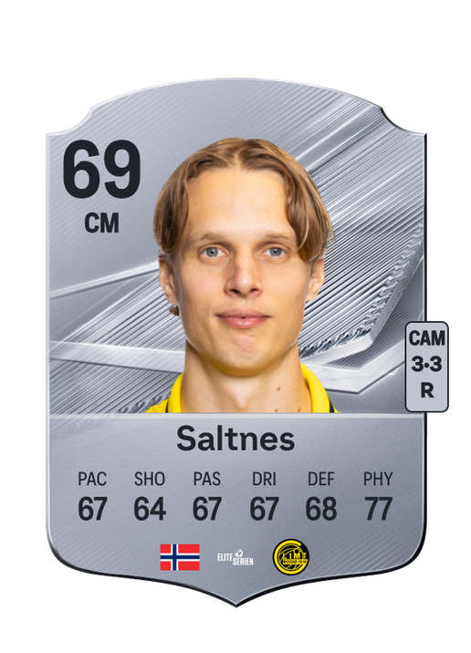 Saltnes