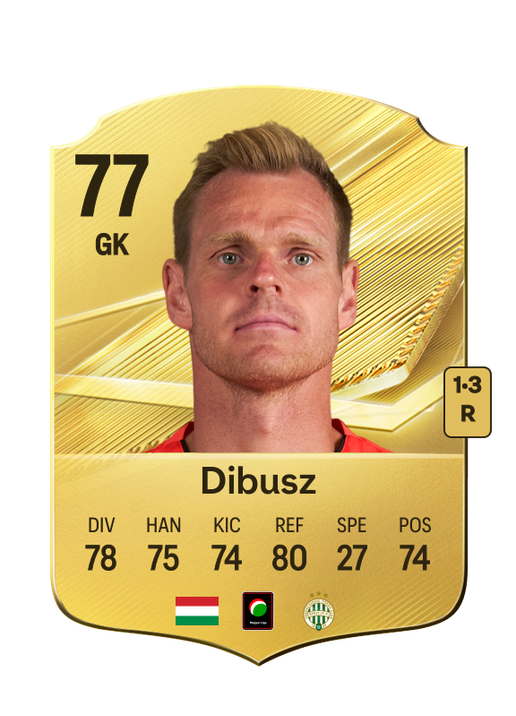 Dibusz