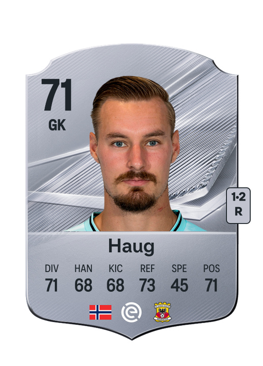 Haug