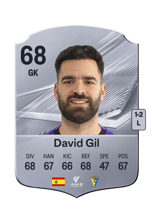 David Gil