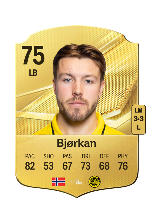 Bjørkan