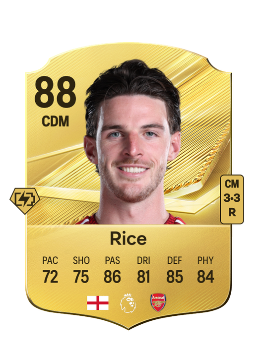 Rice