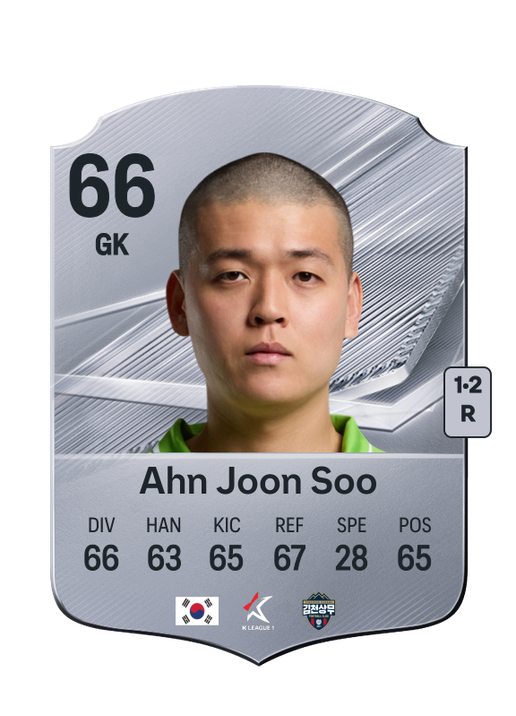 Ahn Joon Soo