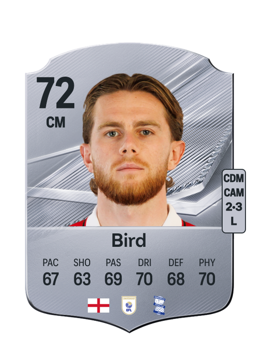Bird