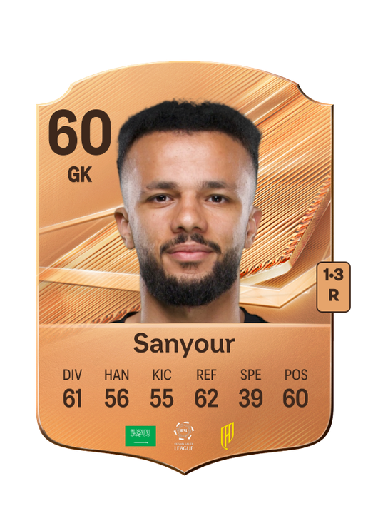 Sanyour