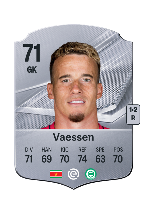 Vaessen