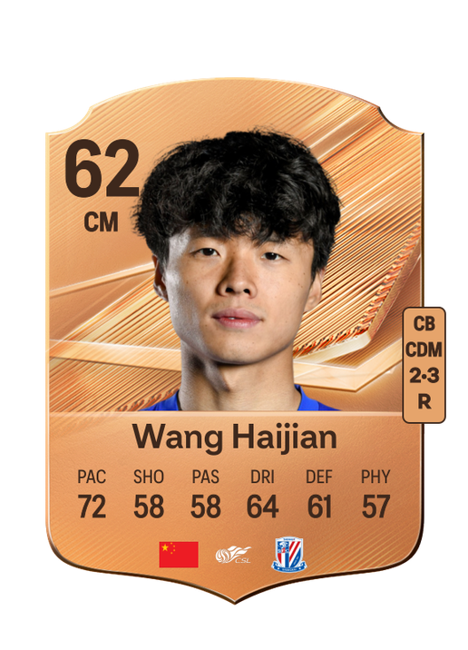 Wang Haijian
