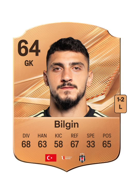 Bilgin