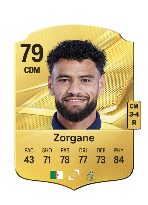 Zorgane