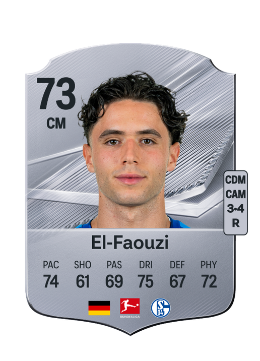 El-Faouzi